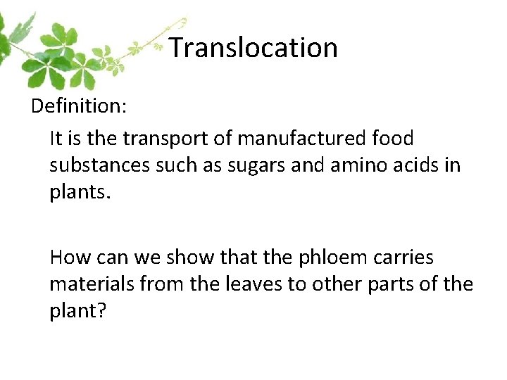 Translocation Definition: It is the transport of manufactured food substances such as sugars and