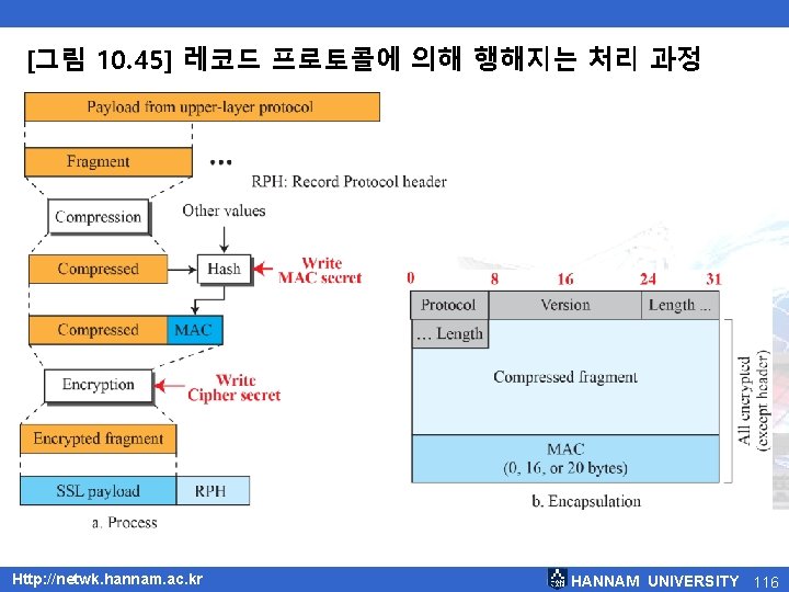 [그림 10. 45] 레코드 프로토콜에 의해 행해지는 처리 과정 Http: //netwk. hannam. ac. kr