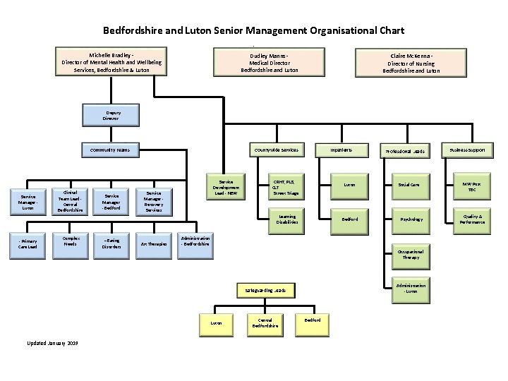 Bedfordshire and Luton Senior Management Organisational Chart - Michelle Bradley Director of Mental Health