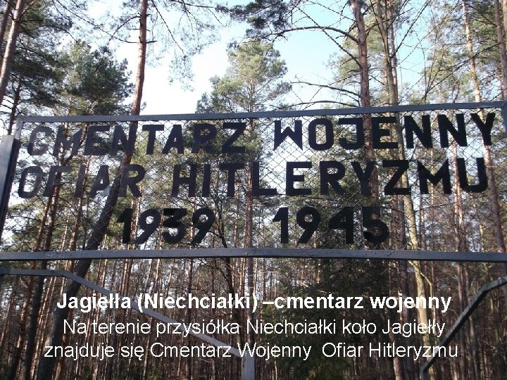Jagiełła (Niechciałki) –cmentarz wojenny Na terenie przysiółka Niechciałki koło Jagiełły znajduje się Cmentarz Wojenny
