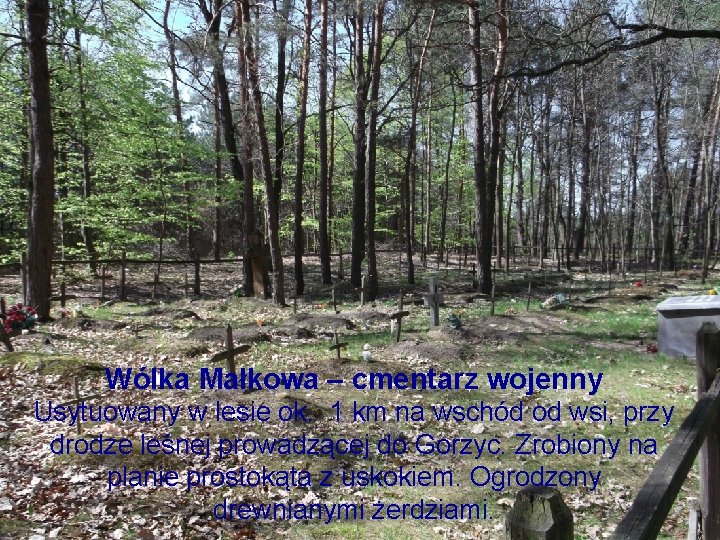 Wólka Małkowa – cmentarz wojenny Usytuowany w lesie ok. 1 km na wschód od