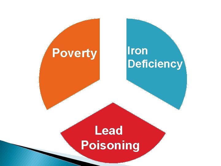 Poverty Iron Deficiency Lead Poisoning 