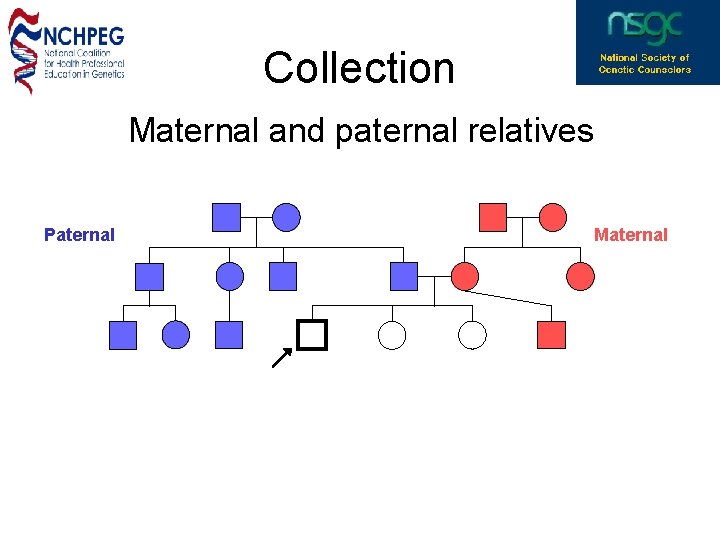 Collection Maternal and paternal relatives Paternal Maternal 