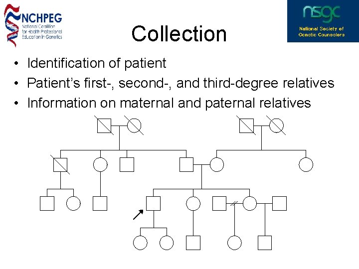 Collection • Identification of patient • Patient’s first-, second-, and third-degree relatives • Information