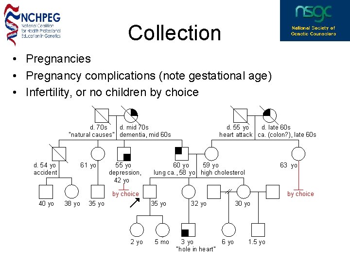 Collection • Pregnancies • Pregnancy complications (note gestational age) • Infertility, or no children