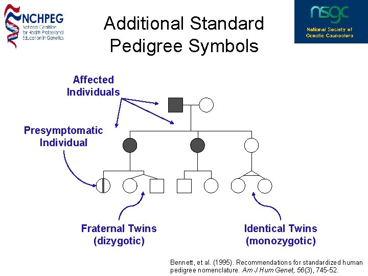 Additional Standard Pedigree Symbols Affected Individuals Presymptomatic Individual Fraternal Twins (dizygotic) Identical Twins (monozygotic)