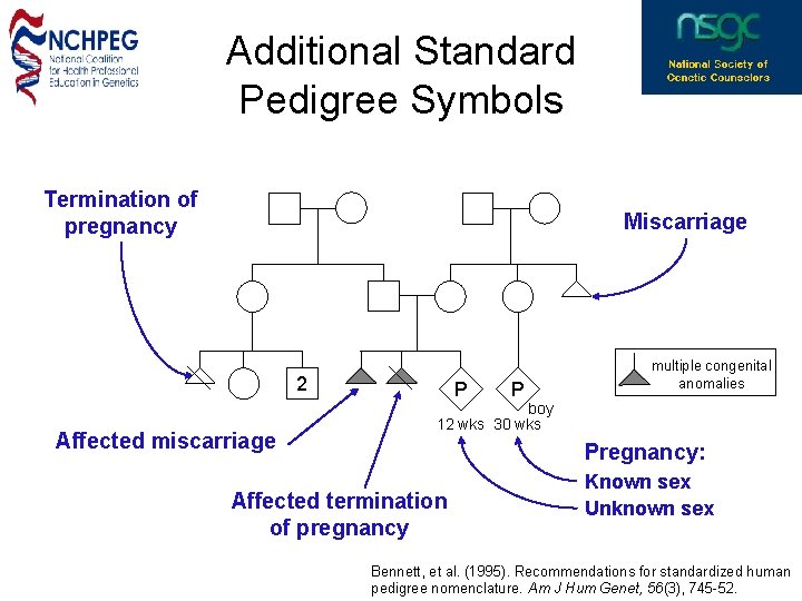 Additional Standard Pedigree Symbols Termination of pregnancy Miscarriage 2 Affected miscarriage P P multiple