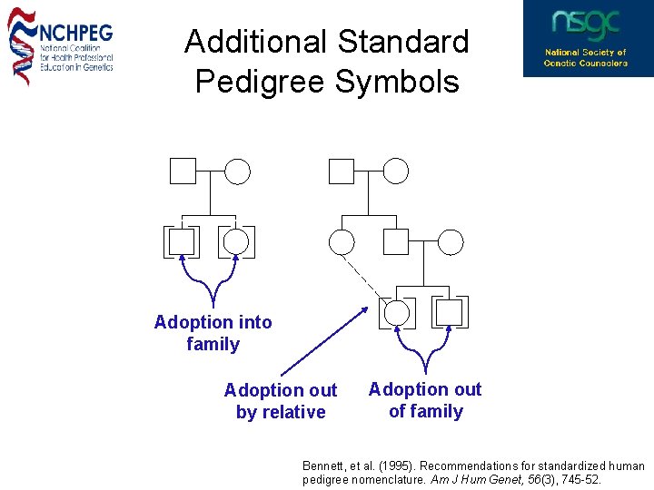 Additional Standard Pedigree Symbols Adoption into family Adoption out by relative Adoption out of