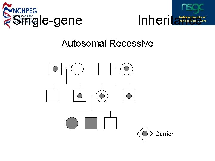 Single-gene Inheritance Autosomal Recessive Carrier 