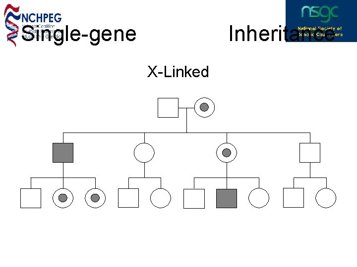 Single-gene Inheritance X-Linked 