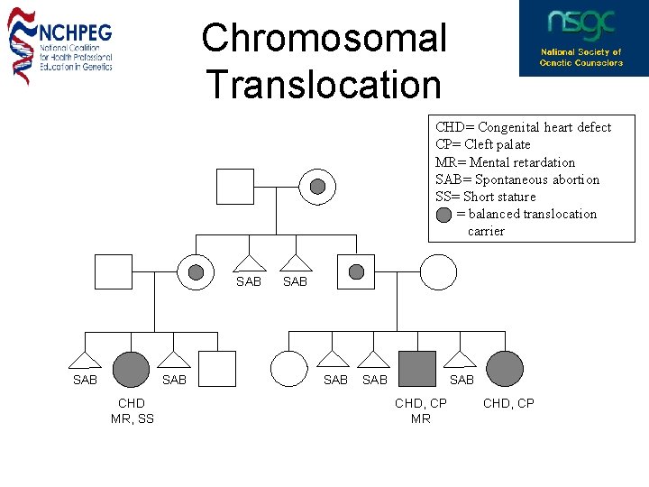 Chromosomal Translocation CHD= Congenital heart defect CP= Cleft palate MR= Mental retardation SAB= Spontaneous