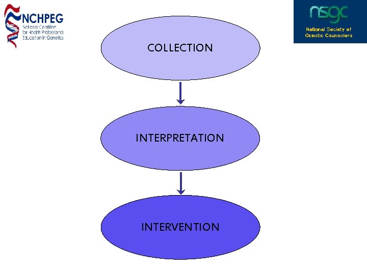 COLLECTION INTERPRETATION INTERVENTION 