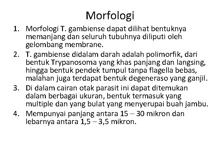 Morfologi 1. Morfologi T. gambiense dapat dilihat bentuknya memanjang dan seluruh tubuhnya diliputi oleh