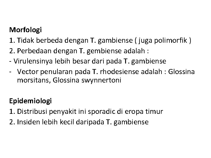 Morfologi 1. Tidak berbeda dengan T. gambiense ( juga polimorfik ) 2. Perbedaan dengan
