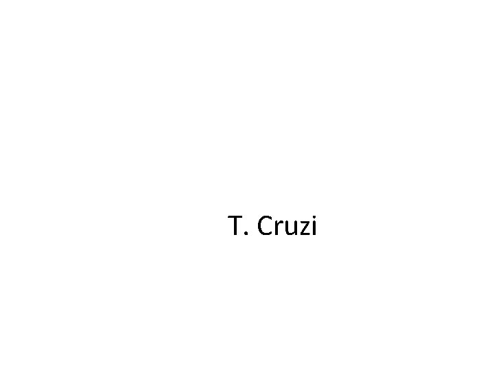 T. Cruzi 