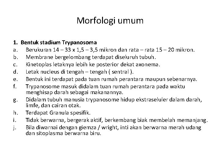 Morfologi umum 1. Bentuk stadium Trypanosoma a. Berukuran 14 – 33 x 1, 5