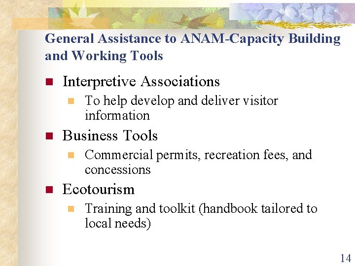 General Assistance to ANAM-Capacity Building and Working Tools n Interpretive Associations n n Business
