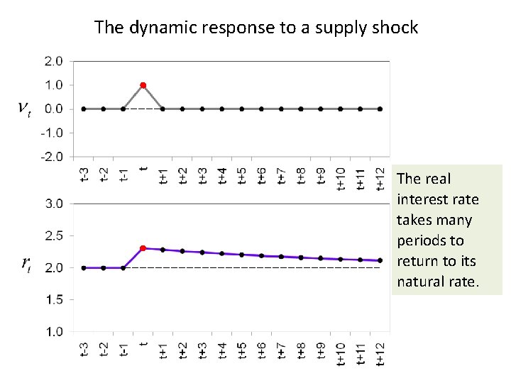 The dynamic response to a supply shock The real interest rate takes many periods