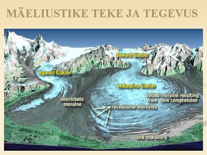 MÄELIUSTIKE TEKE JA TEGEVUS 