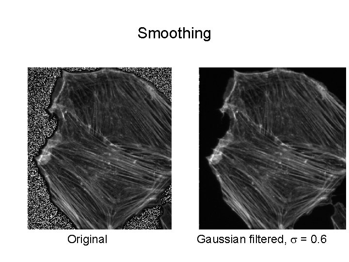 Smoothing Original Gaussian filtered, s = 0. 6 