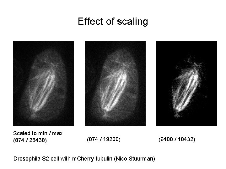 Effect of scaling Scaled to min / max (874 / 25438) (874 / 19200)