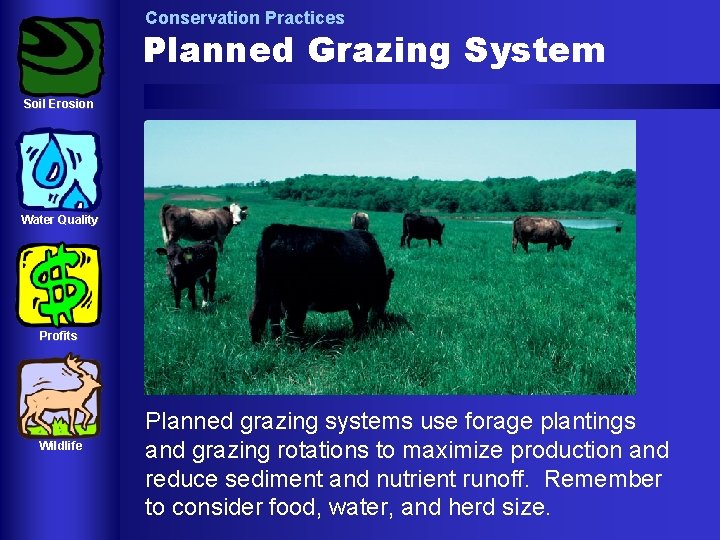 Conservation Practices Planned Grazing System Soil Erosion Water Quality Profits Wildlife Planned grazing systems