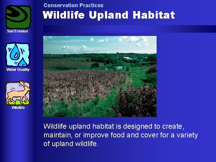 Conservation Practices Wildlife Upland Habitat Soil Erosion Water Quality Wildlife upland habitat is designed