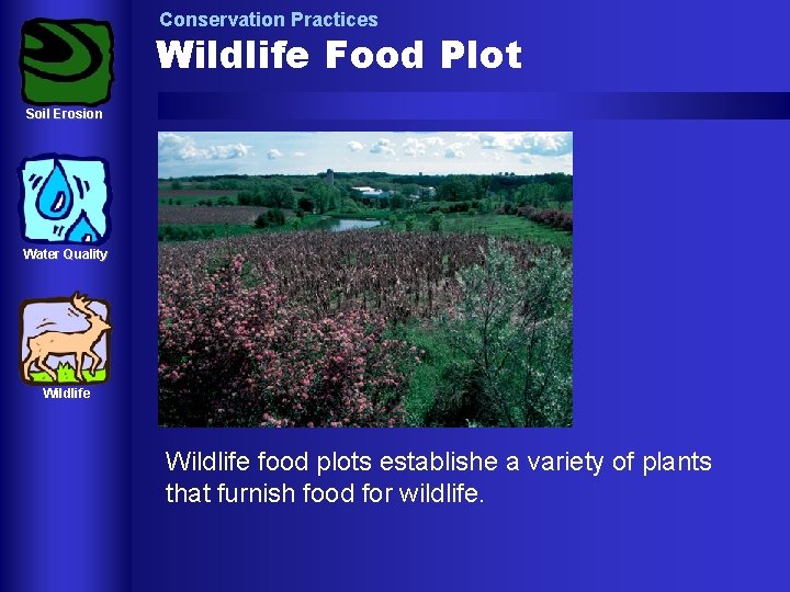 Conservation Practices Wildlife Food Plot Soil Erosion Water Quality Wildlife food plots establishe a