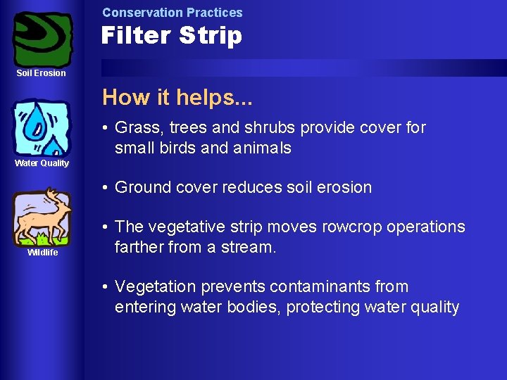 Conservation Practices Filter Strip Soil Erosion How it helps. . . • Grass, trees