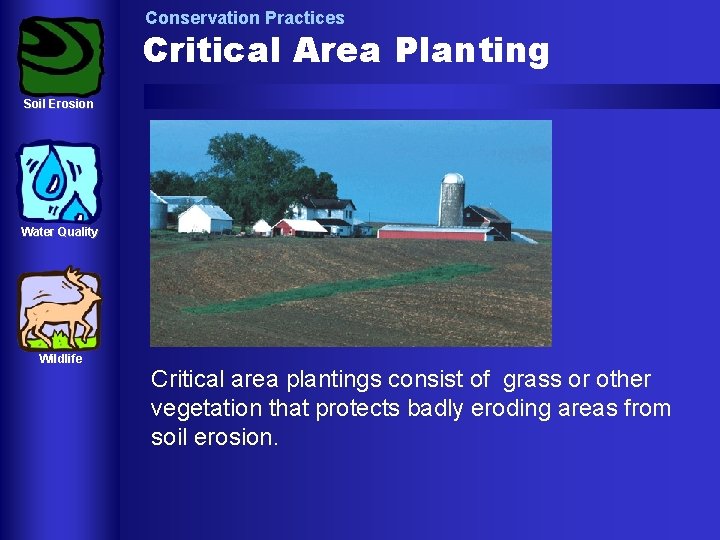 Conservation Practices Critical Area Planting Soil Erosion Water Quality Wildlife Critical area plantings consist