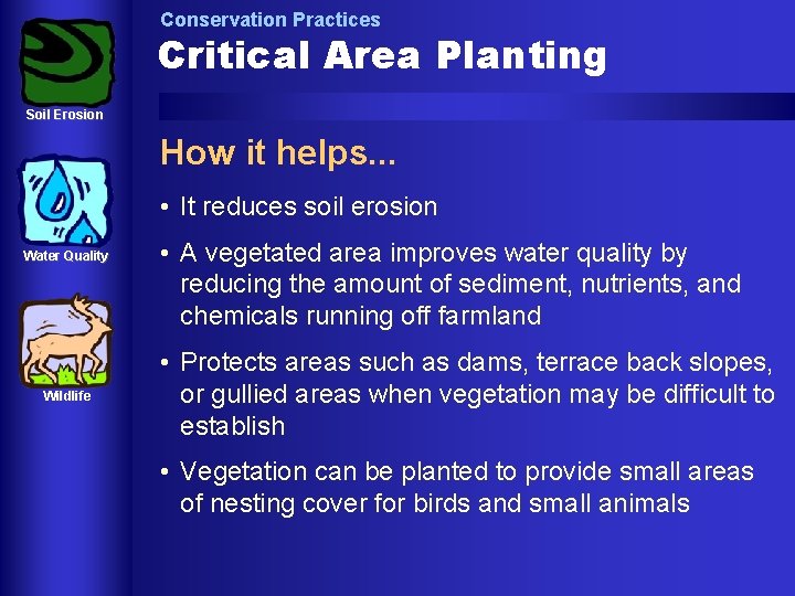 Conservation Practices Critical Area Planting Soil Erosion How it helps. . . • It