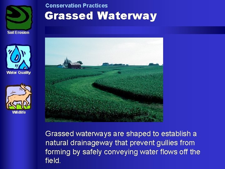 Conservation Practices Grassed Waterway Soil Erosion Water Quality Wildlife Grassed waterways are shaped to