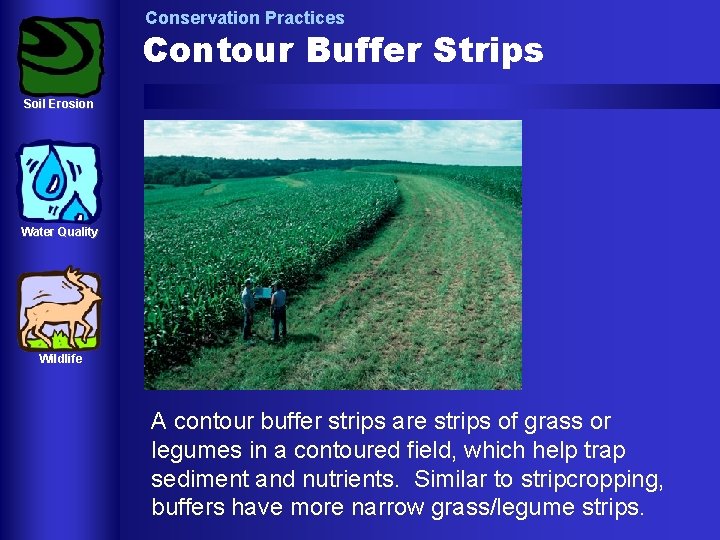 Conservation Practices Contour Buffer Strips Soil Erosion Water Quality Wildlife A contour buffer strips