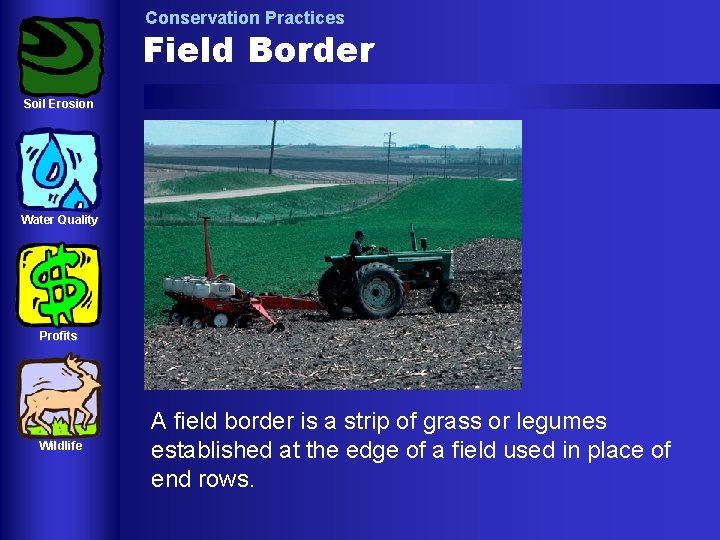 Conservation Practices Field Border Soil Erosion Water Quality Profits Wildlife A field border is