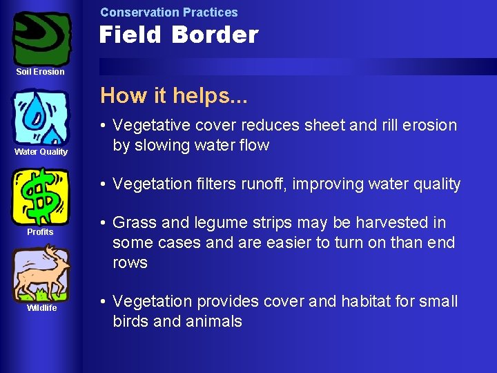 Conservation Practices Field Border Soil Erosion How it helps. . . Water Quality •