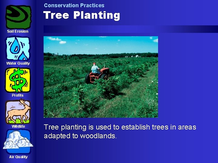 Conservation Practices Tree Planting Soil Erosion Water Quality Profits Wildlife Air Quality Tree planting