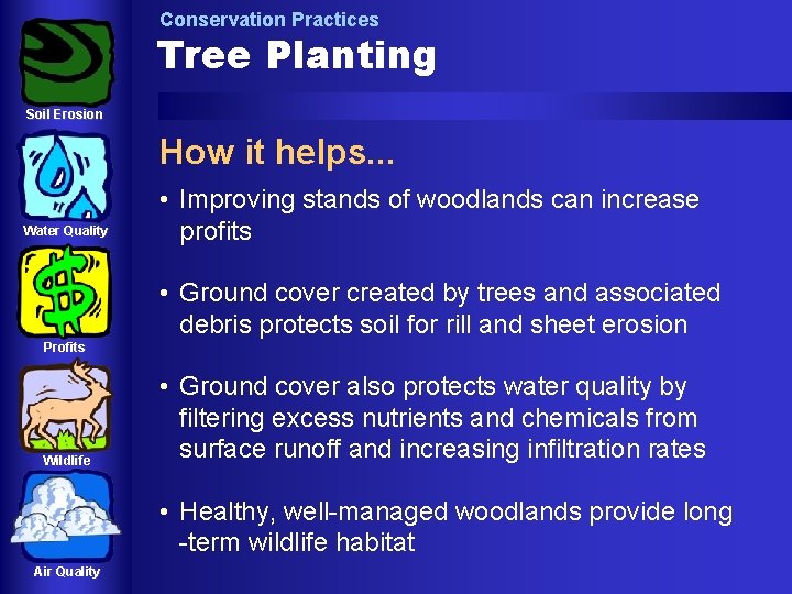 Conservation Practices Tree Planting Soil Erosion How it helps. . . Water Quality •