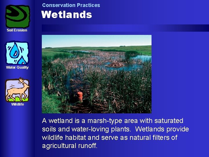Conservation Practices Wetlands Soil Erosion Water Quality Wildlife A wetland is a marsh-type area