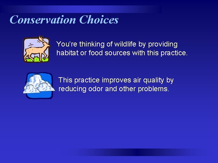 Conservation Choices You’re thinking of wildlife by providing habitat or food sources with this