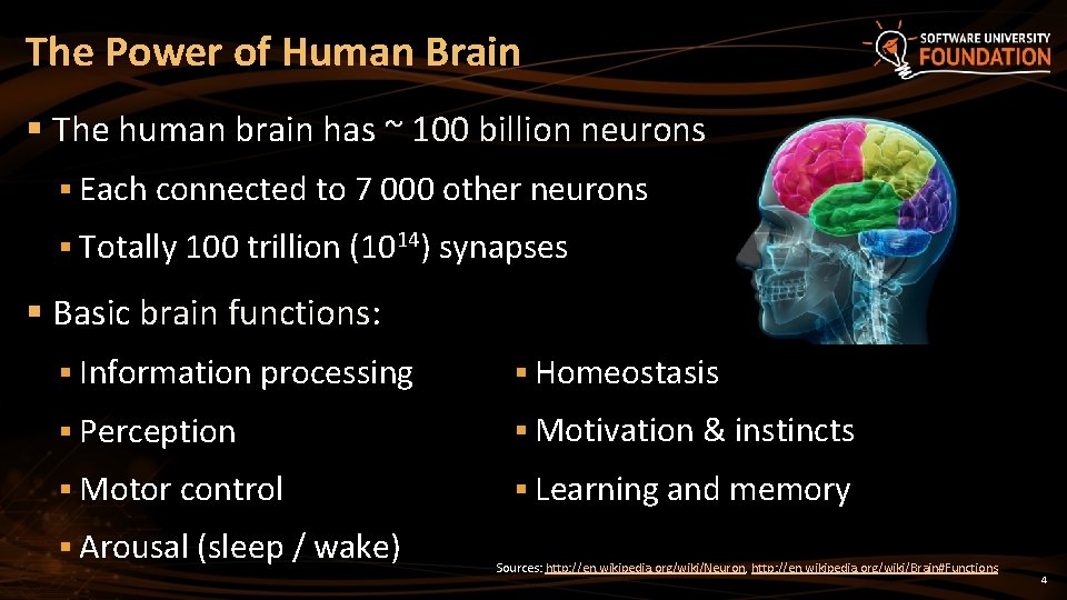 The Power of Human Brain § The human brain has ~ 100 billion neurons