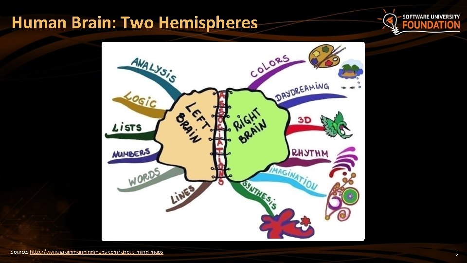 Human Brain: Two Hemispheres Source: http: //www. grammarmindmaps. com/about-mind-maps 5 