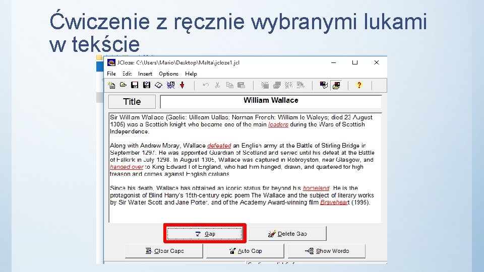 Ćwiczenie z ręcznie wybranymi lukami w tekście 