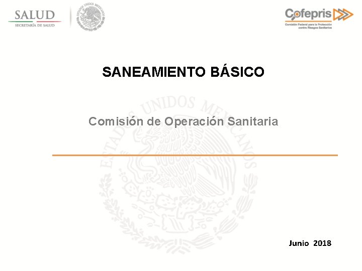 SANEAMIENTO BÁSICO Comisión de Operación Sanitaria Junio 2018 