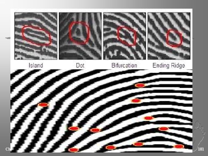 Chapter 4 Kendall/Hunt Publishing Company 101 