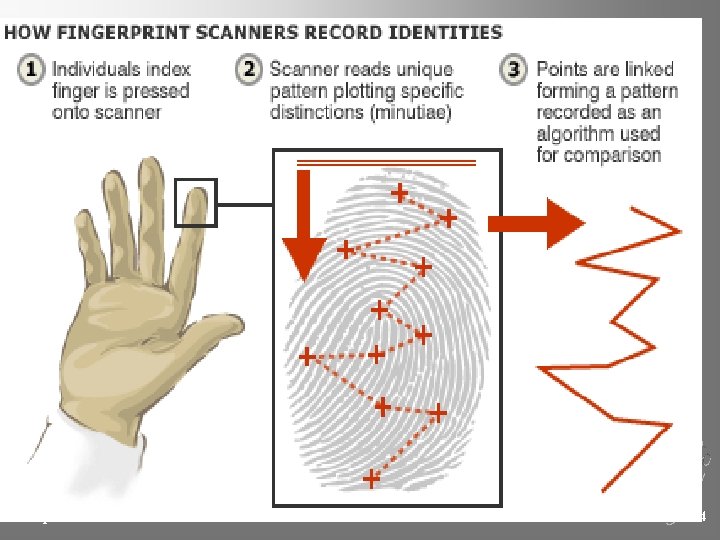 Chapter 4 Kendall/Hunt Publishing Company 104 