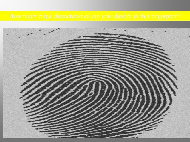 How many ridge characteristics can you identify in this fingerprint? Chapter 4 Kendall/Hunt Publishing