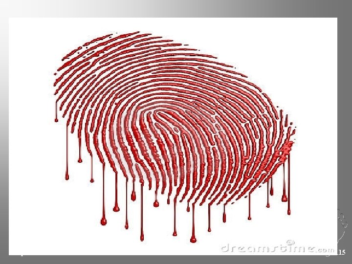 Chapter 4 Kendall/Hunt Publishing Company 115 