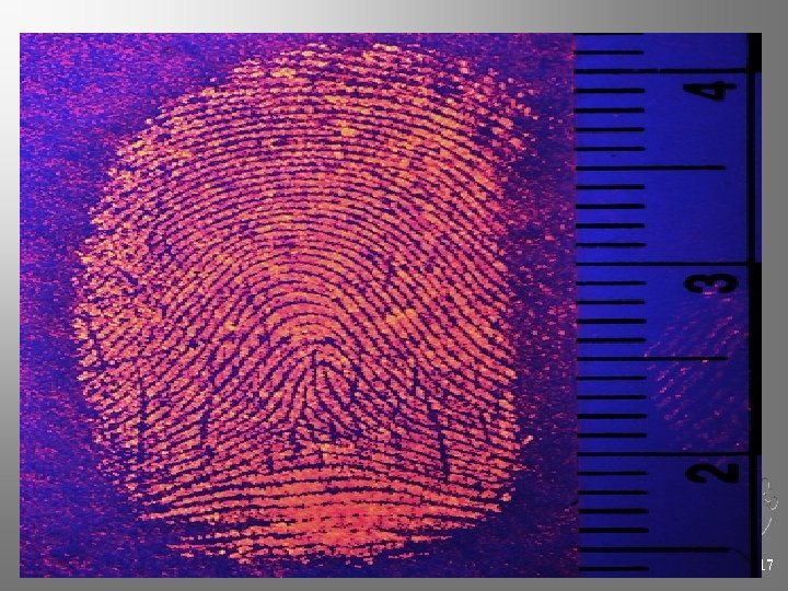 Chapter 4 Kendall/Hunt Publishing Company 117 