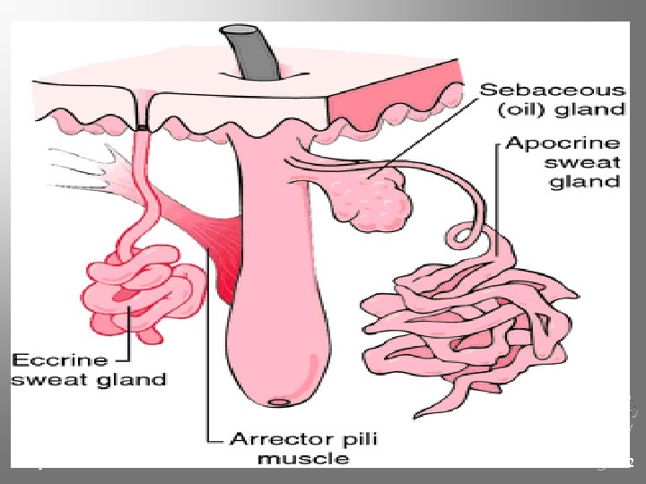 Chapter 4 Kendall/Hunt Publishing Company 122 