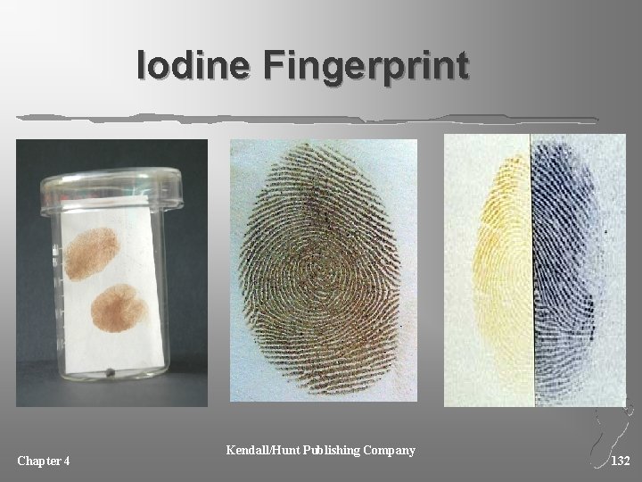 Iodine Fingerprint Chapter 4 Kendall/Hunt Publishing Company 132 